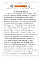 Vorschau - Arbeitsblätter - Leseverständnis 2. Klasse "Der verzauberte Wald" - Deckblatt