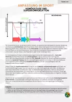 Vorschau - Arbeitsblätter - Superkompensation und Homöostase (Theorie inkl. Arbeitsblätter) - Seite 2