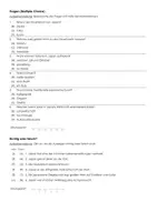 Vorschau - Arbeitsblätter - Japan (Informationstext und Aufgaben) - Seite 2