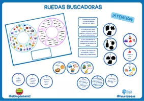 Vista previa - Juegos / Gamificación - RUEDAS BUSCADORAS - página 3
