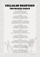 Προεπισκόπηση - Φύλλα εργασίας - "Cellular Rhapsody: The Mitosis Dance" Worksheet Pack - Σελίδα 3