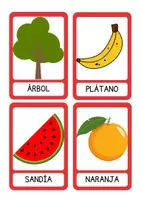 Vista previa - Refuerzo / NEE / Materiales de apoyo - TARJETAS ASOCIATIVAS / VOCABULARIO - página 2
