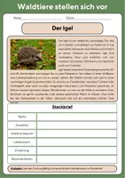 Vorschau - Arbeitsblätter - Steckbriefe - Tiere des Waldes TEIL 1 - Deckblatt