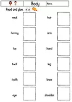 Vorschau - Arbeitsblätter - Body Read, cut, glue Englisch Vokabeln Grundschule - Seite 2