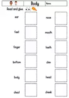 Vorschau - Arbeitsblätter - Body Read, cut, glue Englisch Vokabeln Grundschule - Seite 3