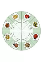 Vorschau - Mal- und Bastelvorlagen - Marienkäferarten - Lerndrehscheibe - Seite 2