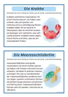 Vorschau - Arbeitsblätter - Unter dem Meer: Abschreibtexte Großschreibung 2.-3. Klasse - Seite 2