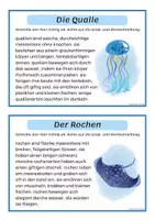 Vorschau - Arbeitsblätter - Unter dem Meer: Abschreibtexte Großschreibung 2.-3. Klasse - Seite 3