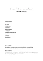 Vorschau - Stundenentwürfe - Fototransduktion im Auge - Langentwurf und Legemodell - Seite 2