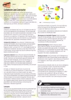 Vorschau - Arbeitsblätter - Cofaktoren und Coenzyme / Enzymatik - AB & Lösungen - Seite 1