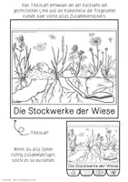 Vorschau - Arbeitsblätter - Flipbook | Stockwerke der Wiese - Seite 1