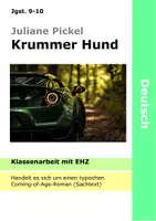 Vorschau - Test - Krummer Hund - Klassenarbeit - Adoleszenzroman - Coming of Age - Juliane Pickel - Deckblatt