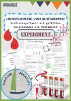 Vorschau - Stundenentwürfe - Untersuchung von Blutgruppen (Schülerexperiment) - Deckblatt