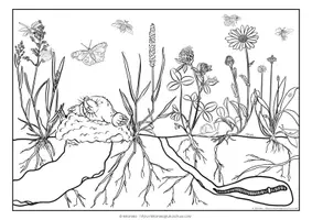 Vorschau - Arbeitsblätter - Lernwerkstatt | Die Wiese | Wiesentiere & Wiesenpflanzen - Seite 1