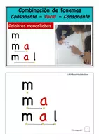 Vista previa - Tarjetas / Manipulativos - Tarjetas palabras CVC 24 de mayo 2024 - Portada