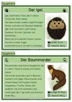 Vorschau - Mal- und Bastelvorlagen - wachsendes Sparpaket Wald /Pilze, Bäume, Tiere, Pflanzen...) - Seite 2