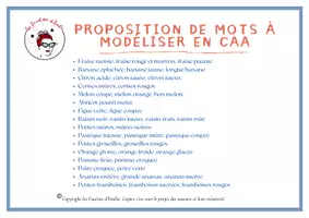 Aperçu - Apprentissages en autonomie - Mémory des fruits , idéal pour la CAA - Page 2