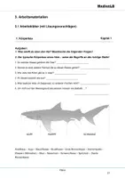 Vorschau - Arbeitsblätter - Haie - Arbeitsblätter mit Lösungen - Deckblatt
