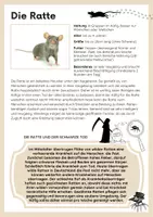 Vorschau - Arbeitsblätter - Ratte als Haustier? - Anna und die Haustiere - Seite 1