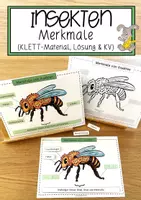 Vorschau - Anderer Materialtyp - Insekten - Merkmale (KLETT-Material, Lösung & KV) - Deckblatt
