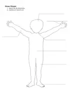 Vorschau - Arbeitsblätter - Unser Körper. Unsere Organe. Tests - Seite 1