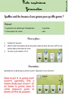 Aperçu - Expériences - GERMINATION - fiches d'expériences - Page 2