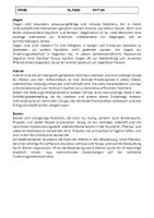 Vorschau - Arbeitsblätter - Nutztiere: Bedeutung, Produkte, Landwirtschaft - Seite 2