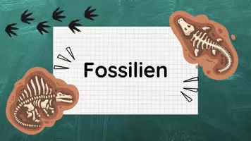 Vorschau - Stundenentwürfe - PPT & Stundenentwurf Fossilien - Doppellektion - inkl. Aufgabenkarten & Kahoot - Seite 3