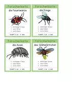 Vorschau - Anderer Materialtyp - Insekten – Forscheraufträge (vierfachdifferenziert) - Seite 2