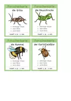 Vorschau - Anderer Materialtyp - Insekten – Forscheraufträge (vierfachdifferenziert) - Seite 3