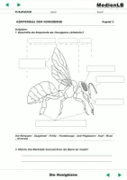 Vorschau - Arbeitsblätter - Die Honigbiene - Arbeitsblätter und Testaufgaben mit Lösungen - Seite 1