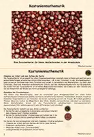 Vorschau - Stundenentwürfe - Kastanienmathematik in der Grundschule - Seite 1