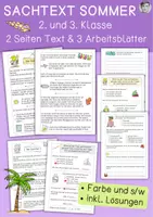 Vorschau - Arbeitsblätter - Sommer Sachtext, Lesen und Verstehen - Deckblatt