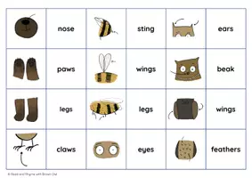 Vorschau - Stationenlernen - Bees, Bears & Owls: Body Parts Game of Pairs - Seite 1