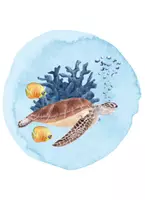 Vorschau - Poster - Türschilder für die Schildkrötenklasse - Seite 3