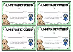 Vorschau - Anderer Materialtyp - Hundeführerschein Schulhund-AG - Seite 1