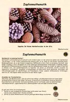Vorschau - Stationenlernen - Zapfenmathematik in der Kita - Seite 1