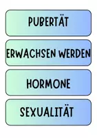 Vorschau - Poster - Pubertät und Sexualerziehung - Tafelkarten mit Begriffen (Klasse 7 8 9) - Deckblatt