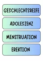 Vorschau - Poster - Pubertät und Sexualerziehung - Tafelkarten mit Begriffen (Klasse 7 8 9) - Seite 3