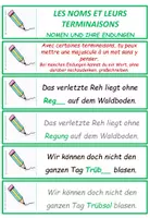 Vorschau - Aufgabenkarten - DaF / DaZ: Endungen von Nomen - internationales Materialpaket - Seite 2