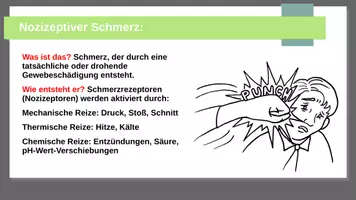 Vorschau - Präsentationen/Tafelbilder - Woher kommt der Schmerz? - Seite 3