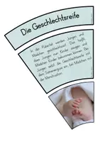 Vorschau - Poster - Legekreis Pubertät - Seite 1