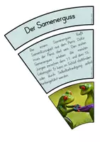Vorschau - Poster - Legekreis Pubertät - Seite 2