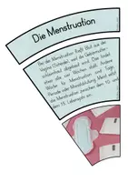 Vorschau - Poster - Legekreis Pubertät - Seite 3