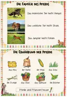 Vorschau - Merkblätter - Bauernhoftiere: Karteikarten "Das Pferd" (Kl.1/2) - Seite 3