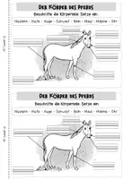 Vorschau - Arbeitsblätter - Bauernhoftiere: Miniheft und Faltheft "Das Pferd" (Kl. 1/2) - Seite 3
