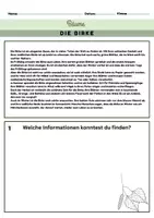 Vorschau - Stundenentwürfe - Materialpaket Unsere Bäume - Seite 1