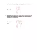 anteprima - Materiale di supporto/inclusione - Svolgere moltiplicazioni e divisioni con il metodo asiatico - Pagina 3