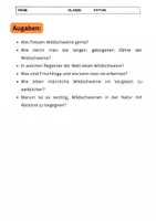Vorschau - Arbeitsblätter - Wildschwein: Starke Tiere in unseren Wäldern (GRUNDSCHULE) - Seite 2