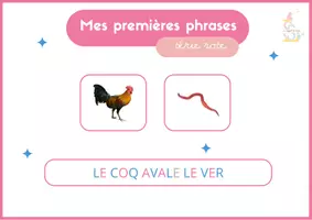 Aperçu - Apprentissages en autonomie - Planche d’apprentissage Montessori : mes premières phrases - Page 3